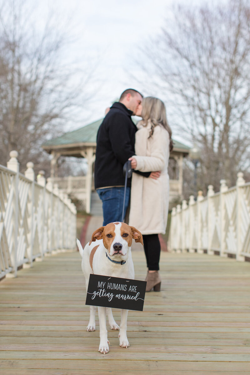 Quiet Waters Park engagement photos in Annapolis, Maryland with dog by Christa Rae Photography