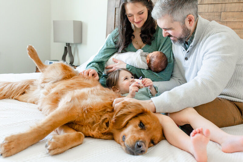 Family on bed with golden retriever at their Ann Arbor Newborn Photographer shot lifestyle newborn session