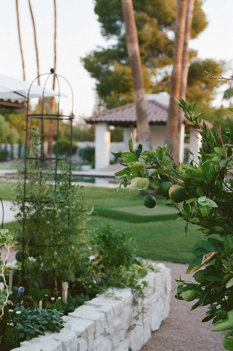 Home-Garden-Rasied-Garden-Beds-Hacienda