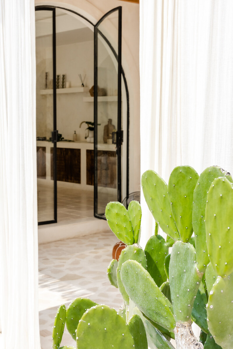 haute-stock-photography-subscription-bali-greens-collection-final-1