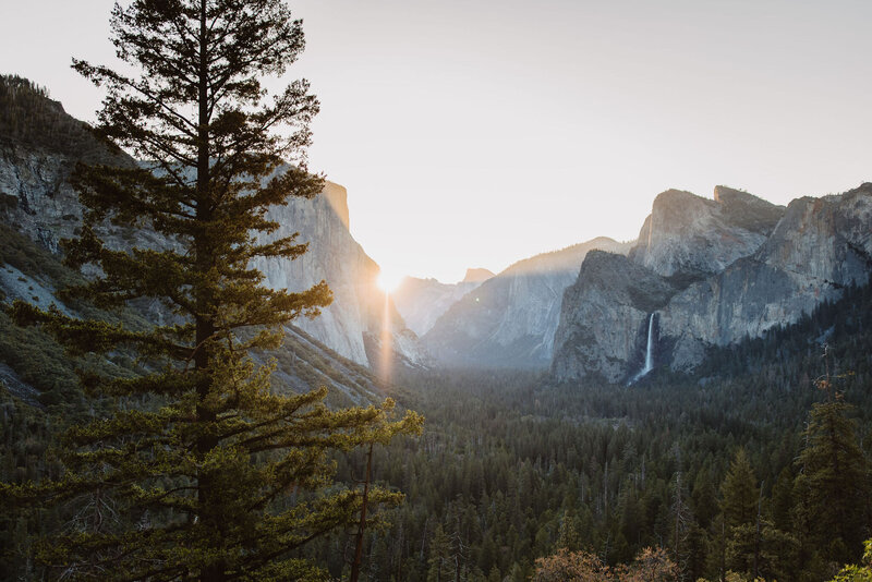 YosemiteWeddingPhotographer-768
