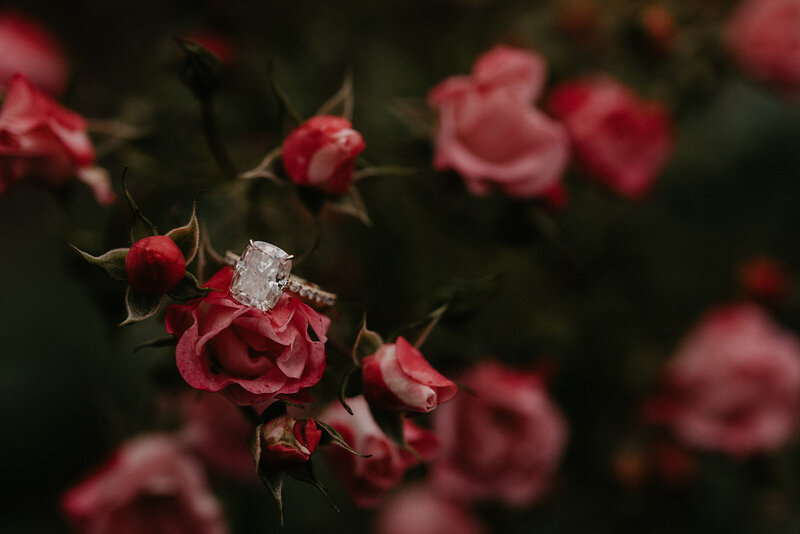 Jeanelly_Bryant_Engagement_Session_Sneak_Peek_10.27.20-39