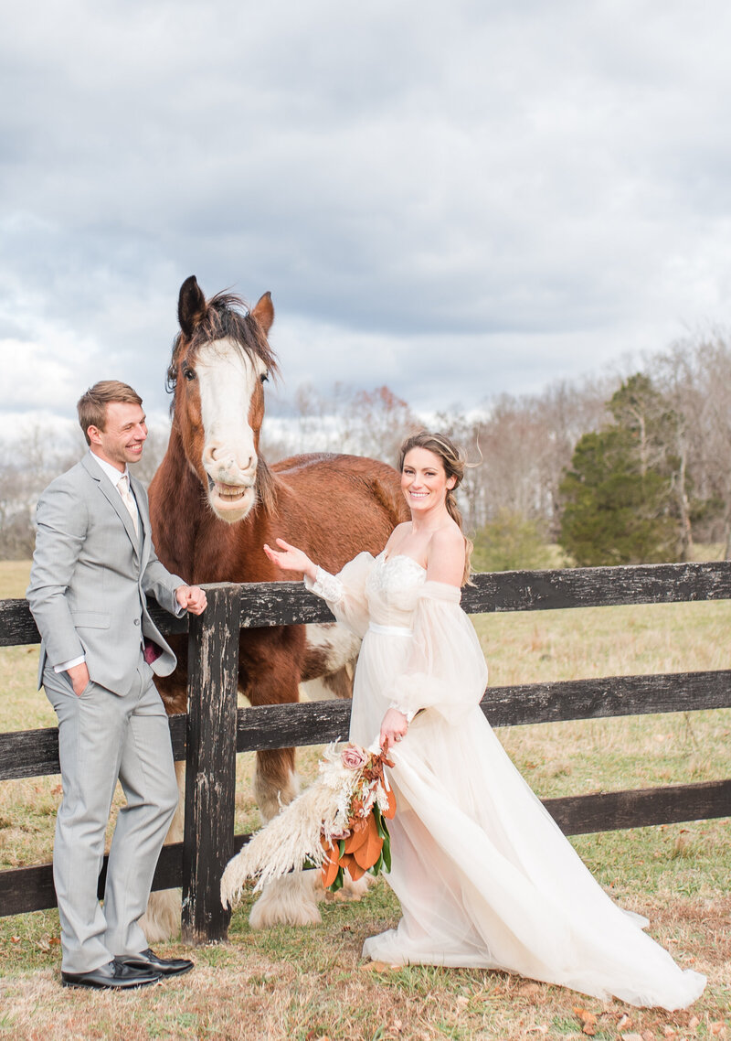 bride and groom smiling at their mount ida wedding smiling horse Clydesdale