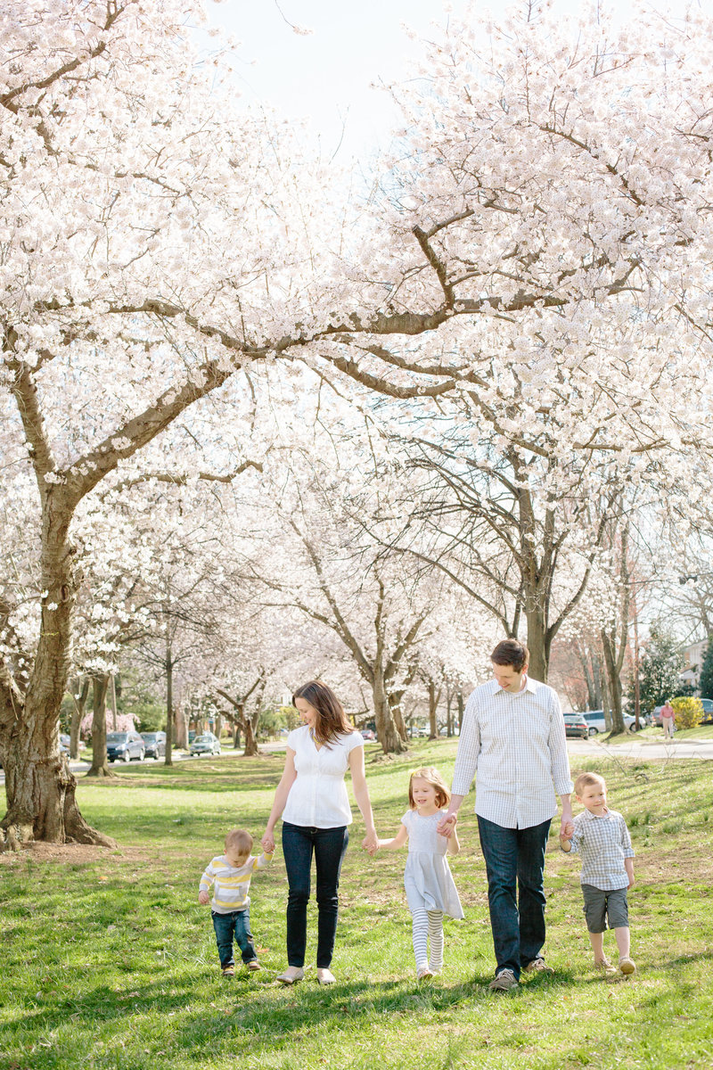 Family Cherry Blossom Pictures