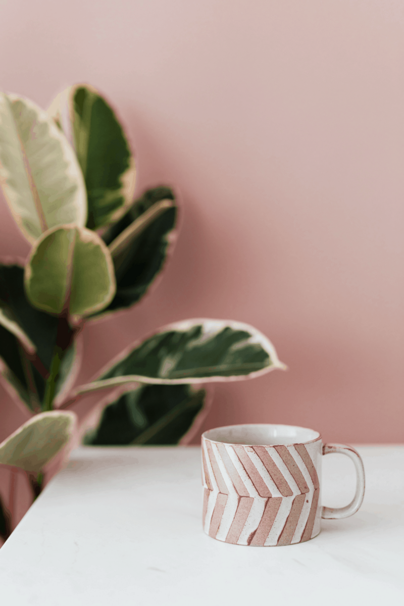 Pink wall with plant decor and a pink coffee cup
