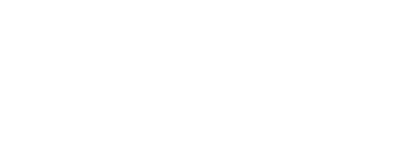 Wedding Photographer in New York City Tom Schelling Photography Logo