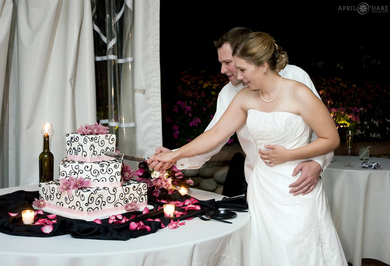 Cake cutting at a Hudson Gardens Tent Reception in Littleton