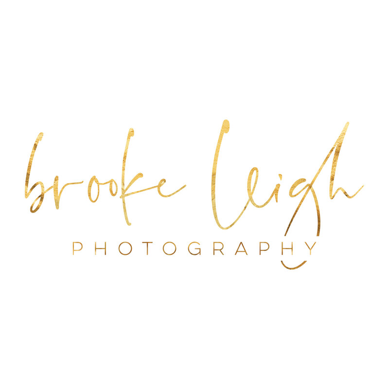 Logo for Brooke Leigh Photography Ann Arbor Newborn Photographer