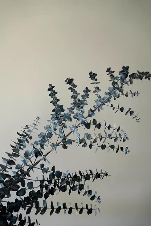 Preserved Eucalyptus Bunch (6)