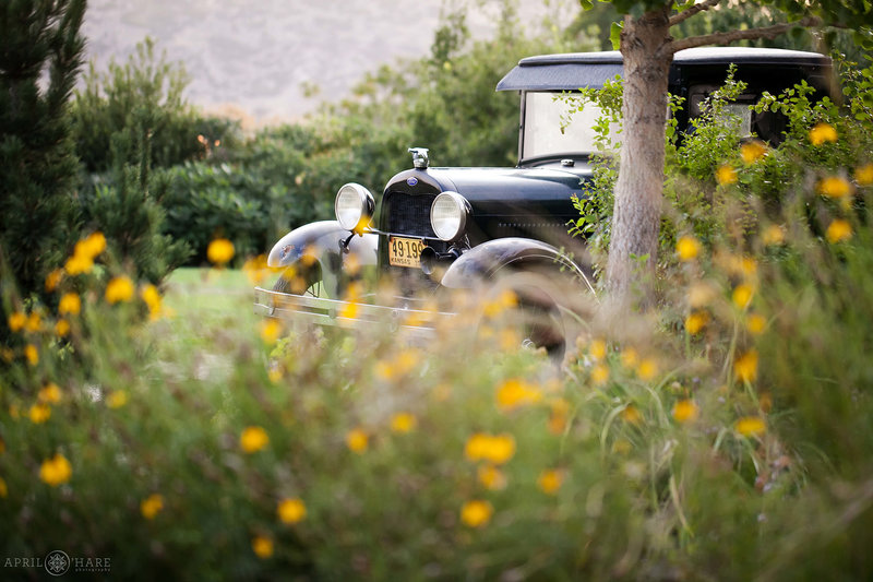 Denver Wedding Photography Vintage Ford Truck at Denver Botanic Gardens Chatfield Farms
