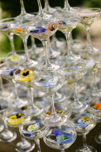 Pippin Hill Wedding-8_websize