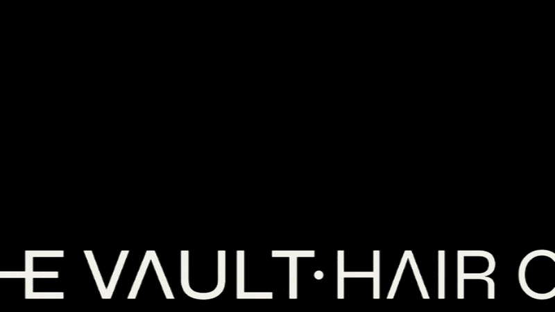 thevault-ezgif.com-optimize