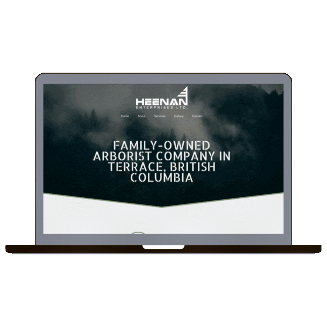 Bold Website Design