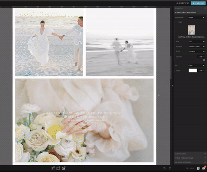 Easy-to-customize Showit website templates for photographers and creatives, designed to showcase your work and convert visitors into clients.