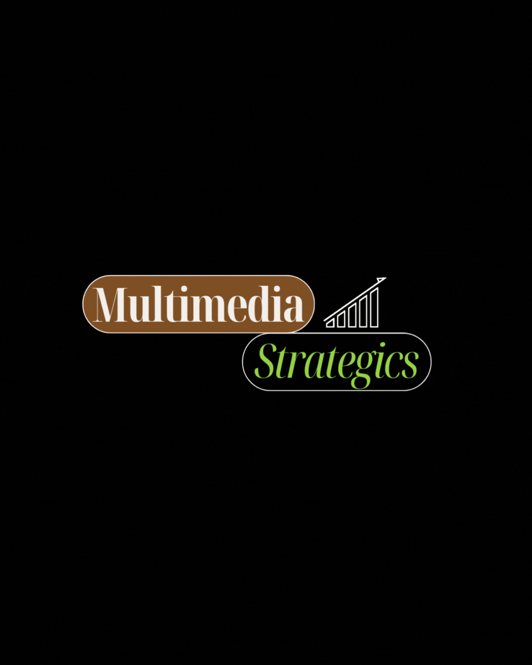 Multimedia Strategics - Social Media Management - Website Design