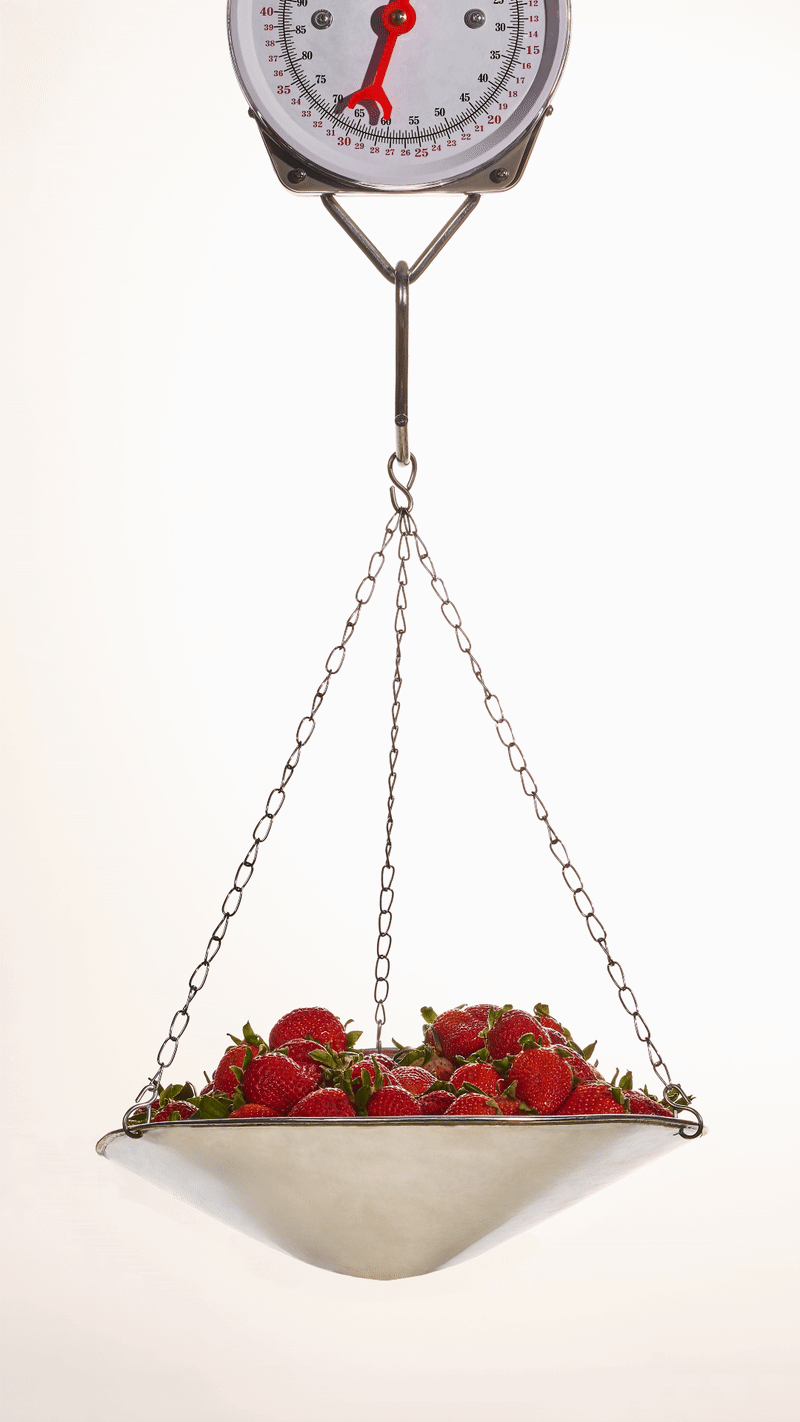 CopyofOLIPOP_Feb2025_Shot24