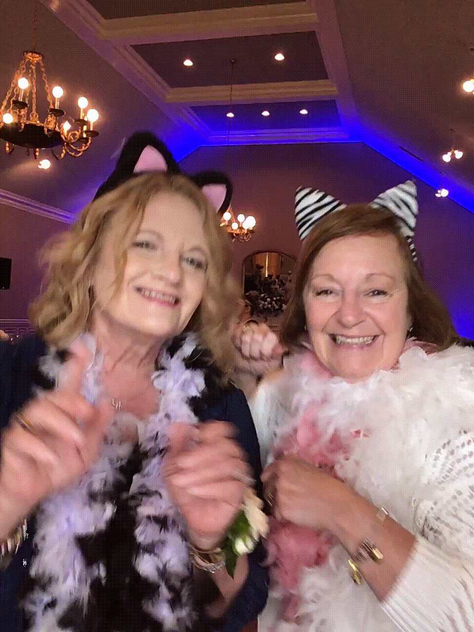 GIF of Women dancing with Cat and boas in photobooth