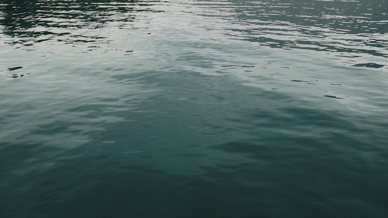 The Lovers Elopement Co - water gently rippling in lake Wakatipu Queenstown