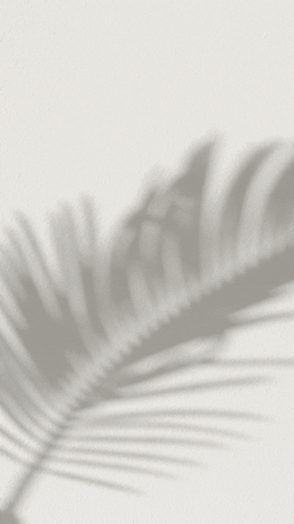 Palm leaf shadow moving