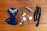 Wedding Gallery-56