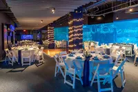 Wedding Gallery-216