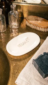wellhaus-soap-dish-8487502