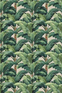 summer-exterior-pattern (1)