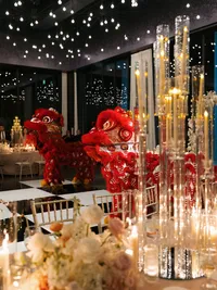 Lion dancer performance at Hall of Lights Dallas Texas wedding — Stephanie Michelle Photography