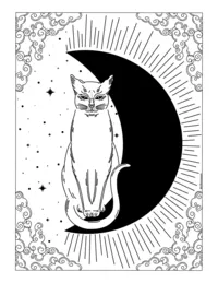 Moon_Cat