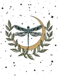 DRAGONFLY COLOR