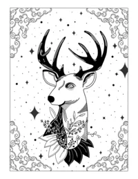 Deer