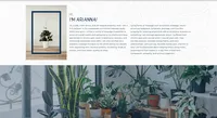 INFO - SOMA FAMILY WELLNESS WEBSITE BY ERIKA MARAM