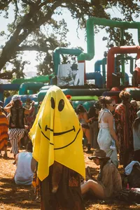 LIB 2016 -65