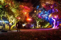 Lucidity Crossroads--44