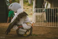 Unify Fest - 2016-009
