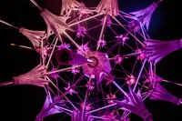 Burning Man 2018 -109