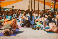 LIB 2016 -41