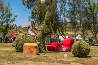 Boogaloo Music Festival - 2017 -006