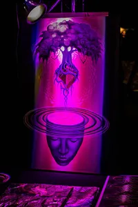 Serenity Music Festival - 2016 -068