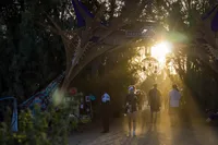 Serenity Music Festival - 2016 -022