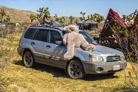 Serenity Music Festival - 2016 -016