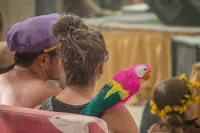 Burning Man 2016 -85