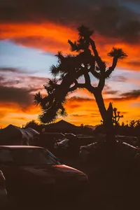 Serenity Music Festival - 2016 -064