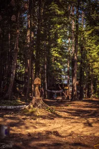 Shambhala Music Festival 2018 -4