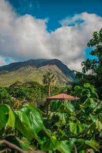 THC - Maui Tour - 2018-2