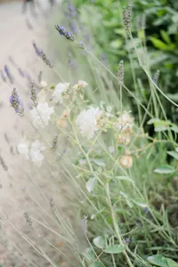 RachaelReidPhotography-135