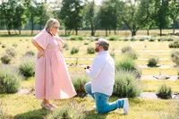 Sweethaven Lavender Farm Proposal Photos