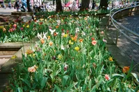 IMG_9919