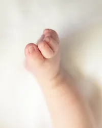 St. Louis Newborn Photographer Detail