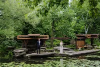 Chicago Wedding Photographer